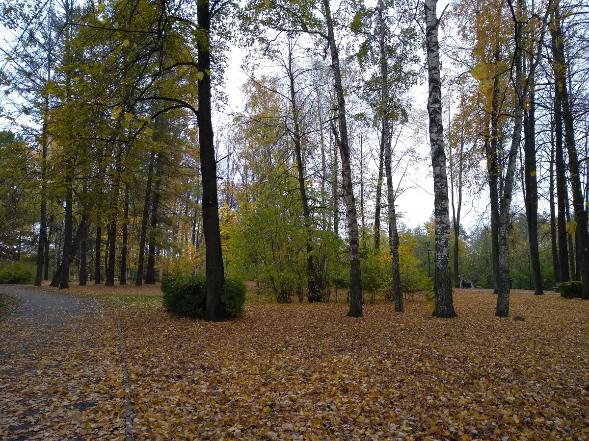Парк имеет большой размер.
