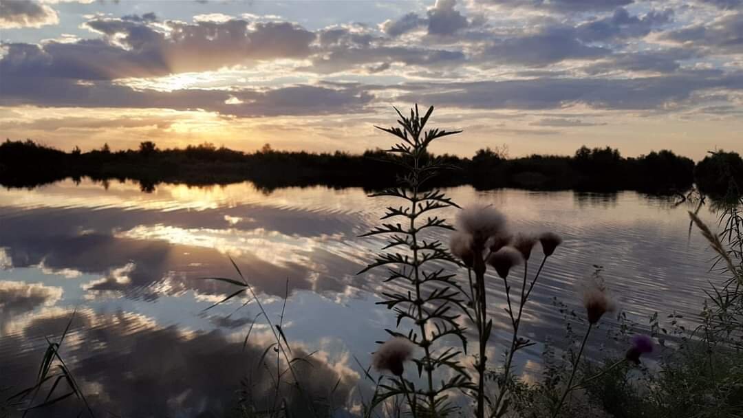 Фото с прогулки у нашего озера