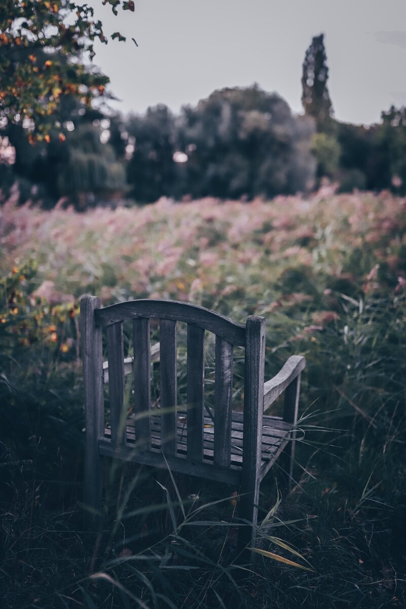 Photo by Florencia Viadana on Unsplash