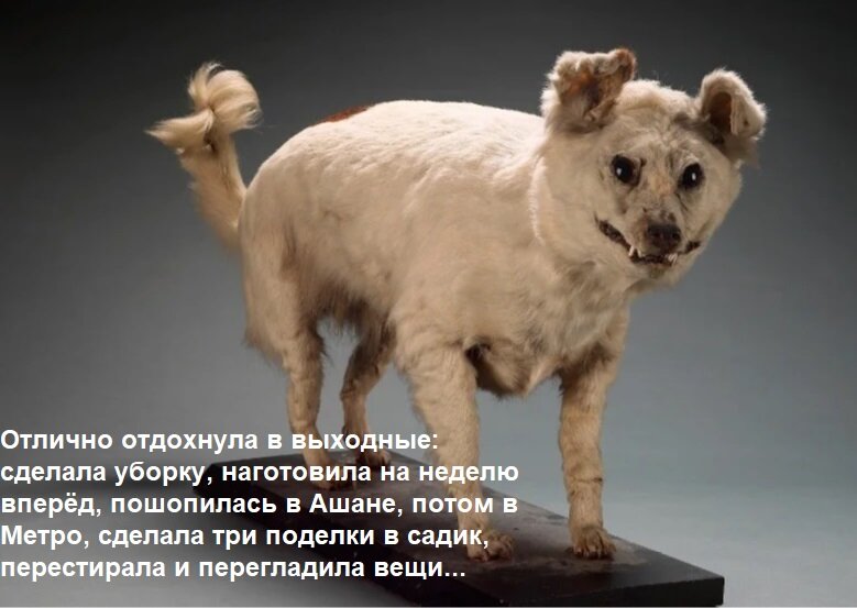 А потом вспомнила, что дети уже давно в школу ходят.