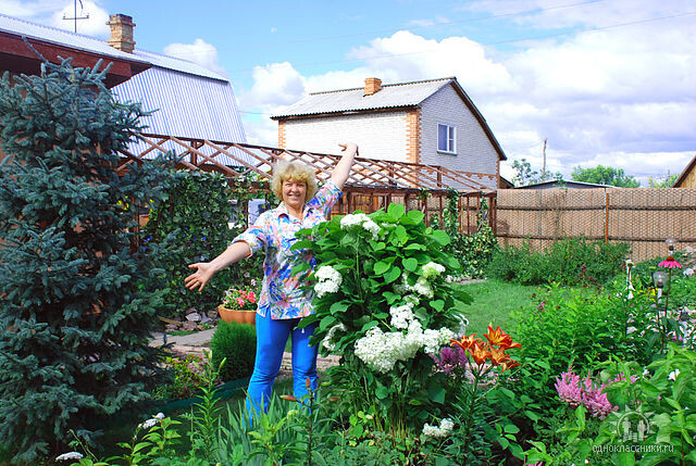 Фото из личного альбома: я 1 августа 2010 года в гостях у друзей на даче в садовом обществе "Авиатор".