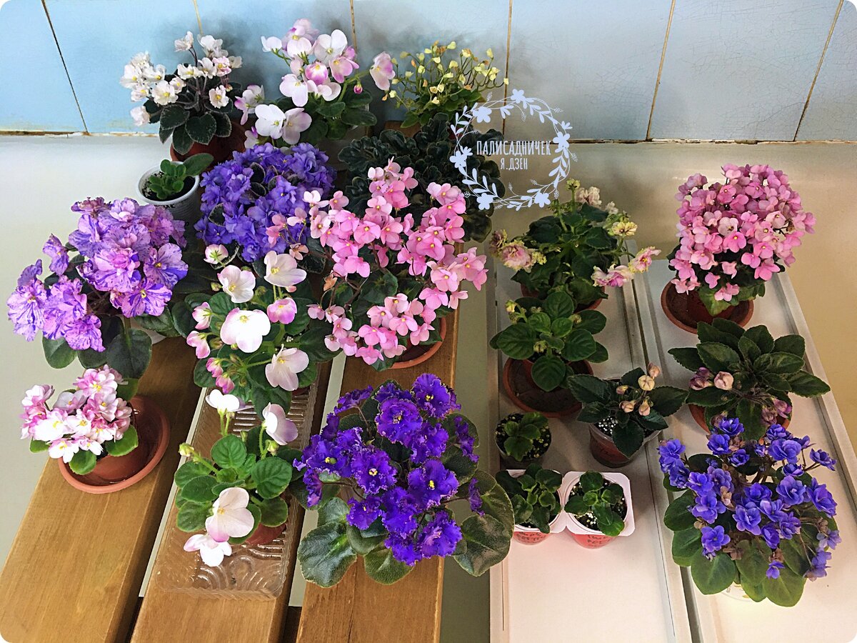 На следующий вечер я сказала себе: глаза боятся — руки делают... И притащила в ванную ещё две полочки.