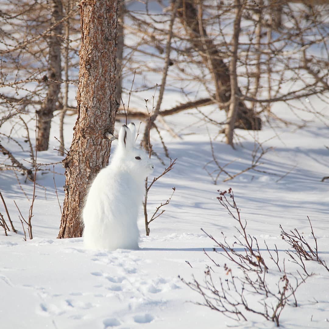 Фото из интернета. 