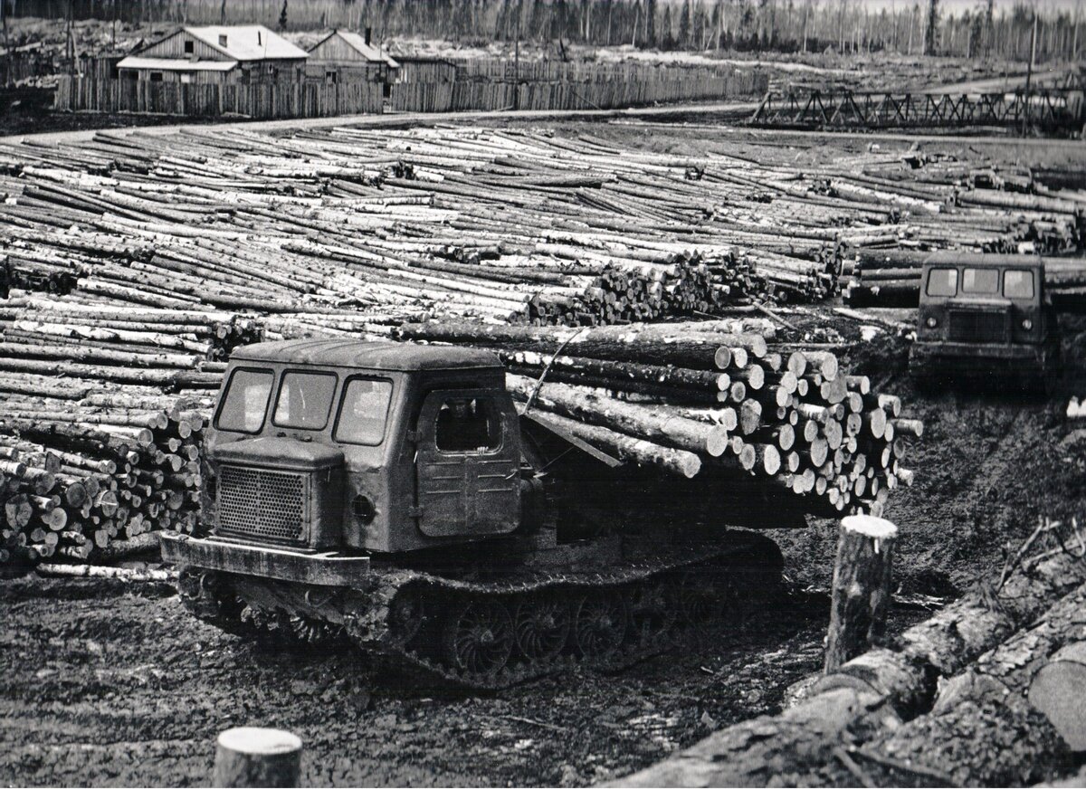 Режевской леспромхоз. ТДТ-60 трактор. МАЗ 509 леспромхоз.