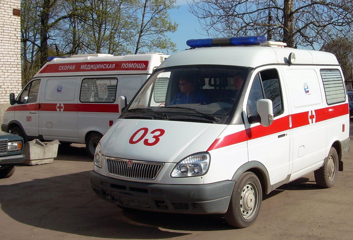 Фото из доступного источника