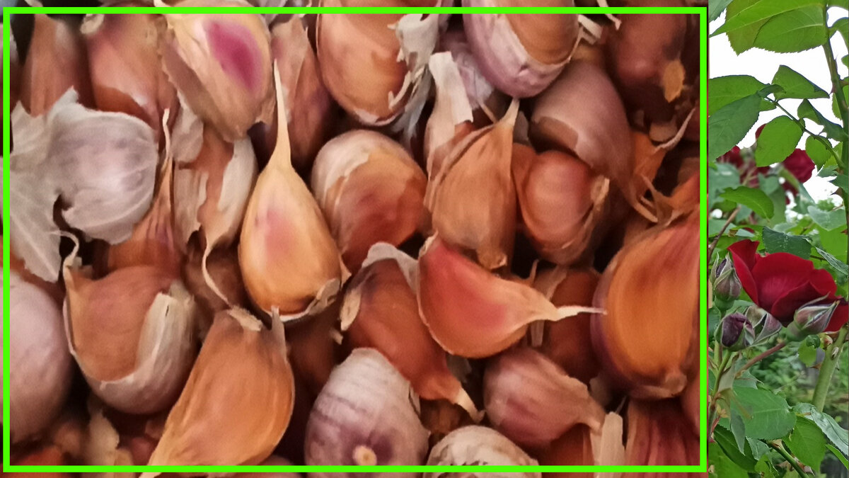 Ставьте "Класс" и подписывайтесь на канал!