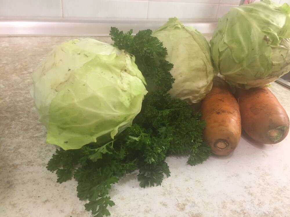 Осенний урожай, огород 2020