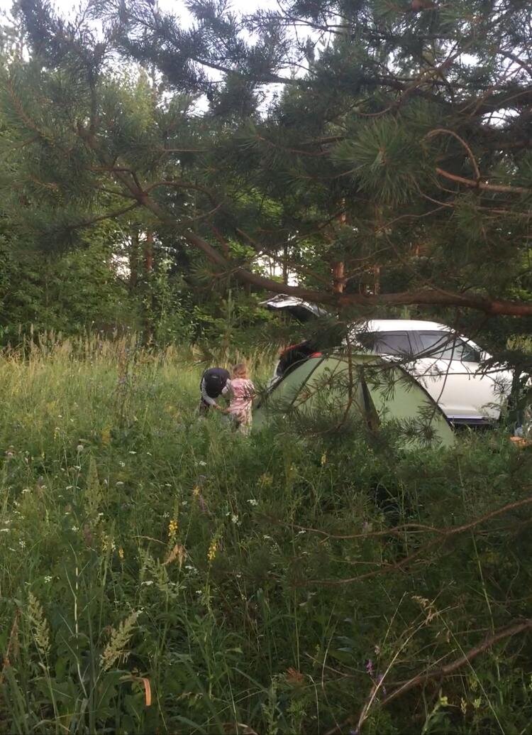 Детёныши и палатка