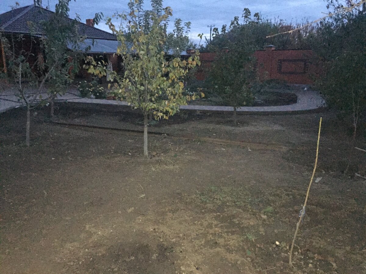 Другой ракурс