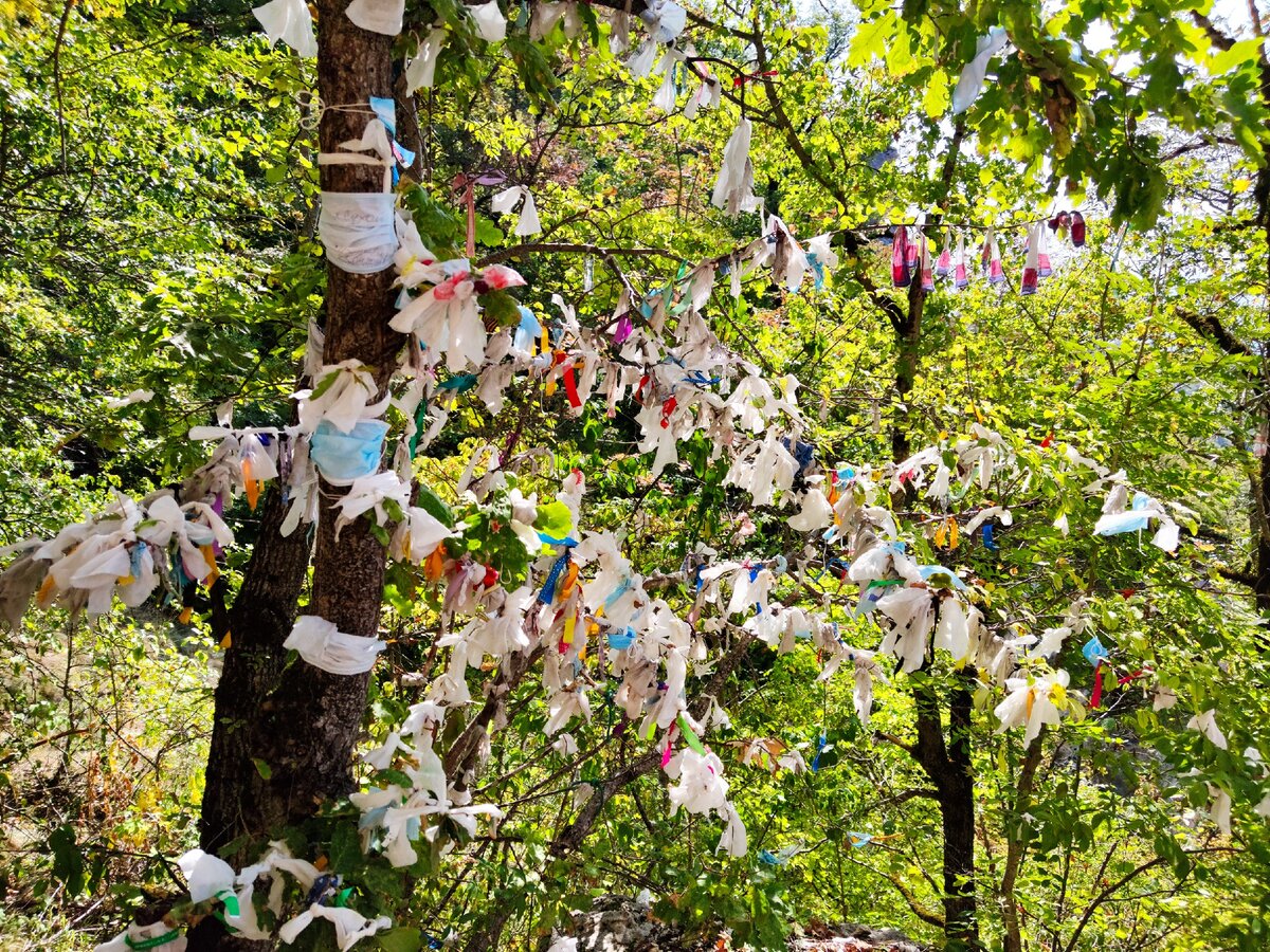 Камбы-Лама Тувы пояснил, нужно ли вешать кадаки, флажки и ленточки на живые деревья