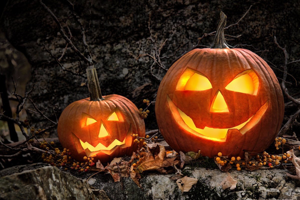 Halloween pumpkin. Хэллоуин. Хэллоуинские тыквы. Хэллоуин праздник. Тыква в лесу.