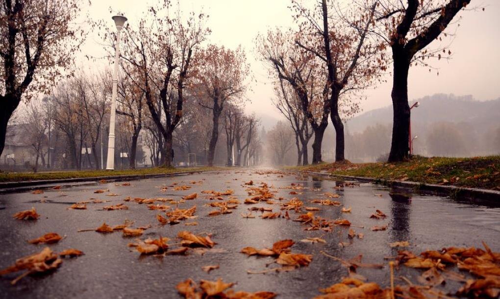 Фото — kubannews.ru