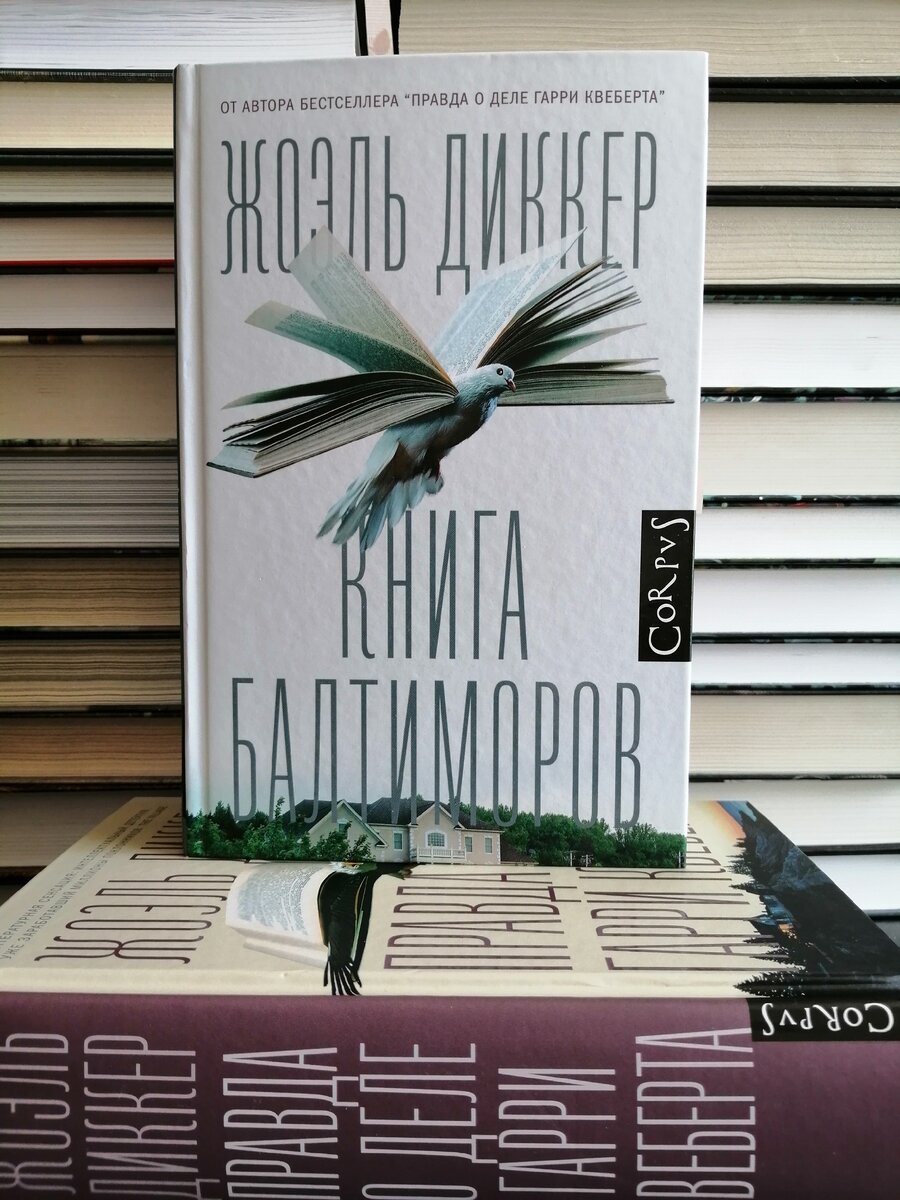 Книга Балтиморов