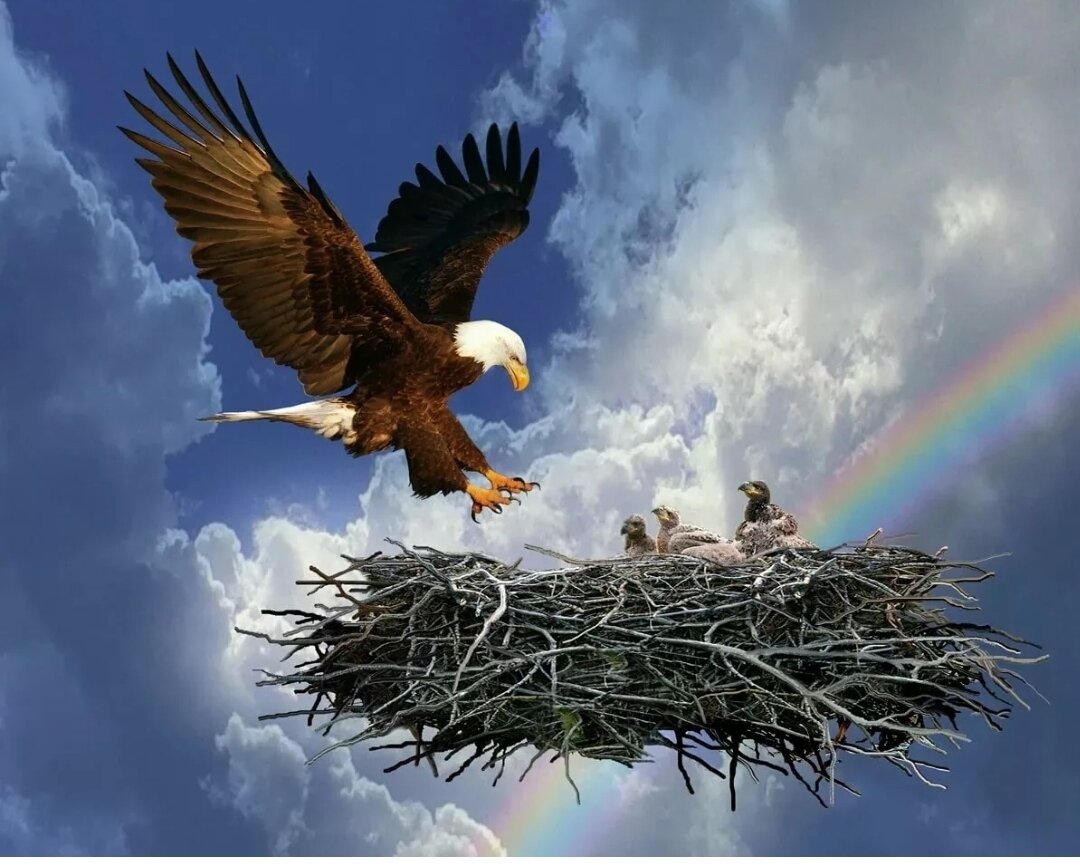 Картинка из открытых источников