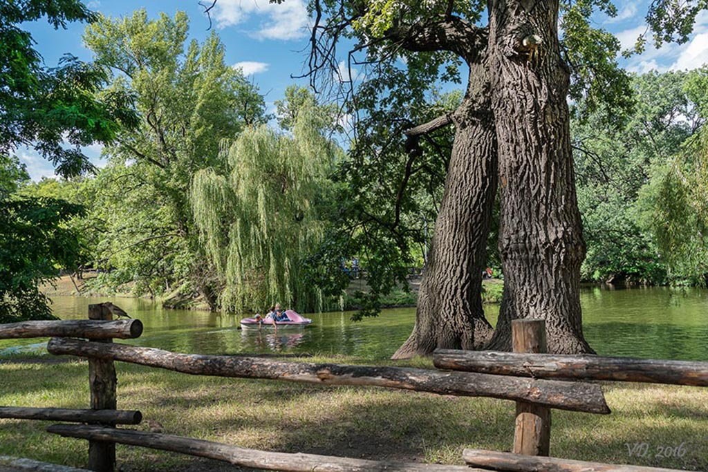 Саратов парки отдыха