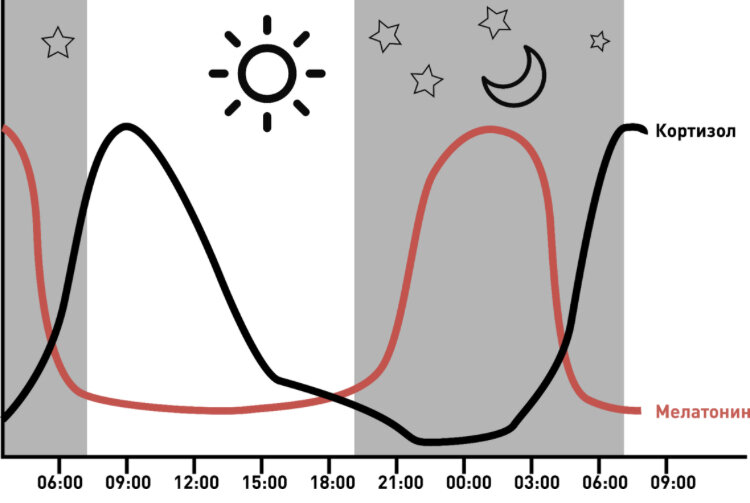 Влияние света на организм человека. Открытый источник. Яндекс. Картинки 