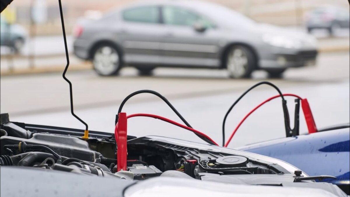 Фото взято из интернета, для примера.