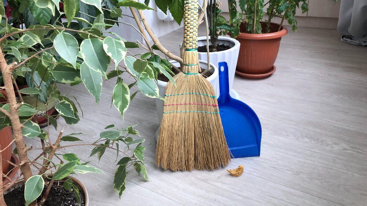 Поддержите моё желание сделать мир здоровее: подпишитесь на мой канал и поставьте лайк статье 👍🏻 