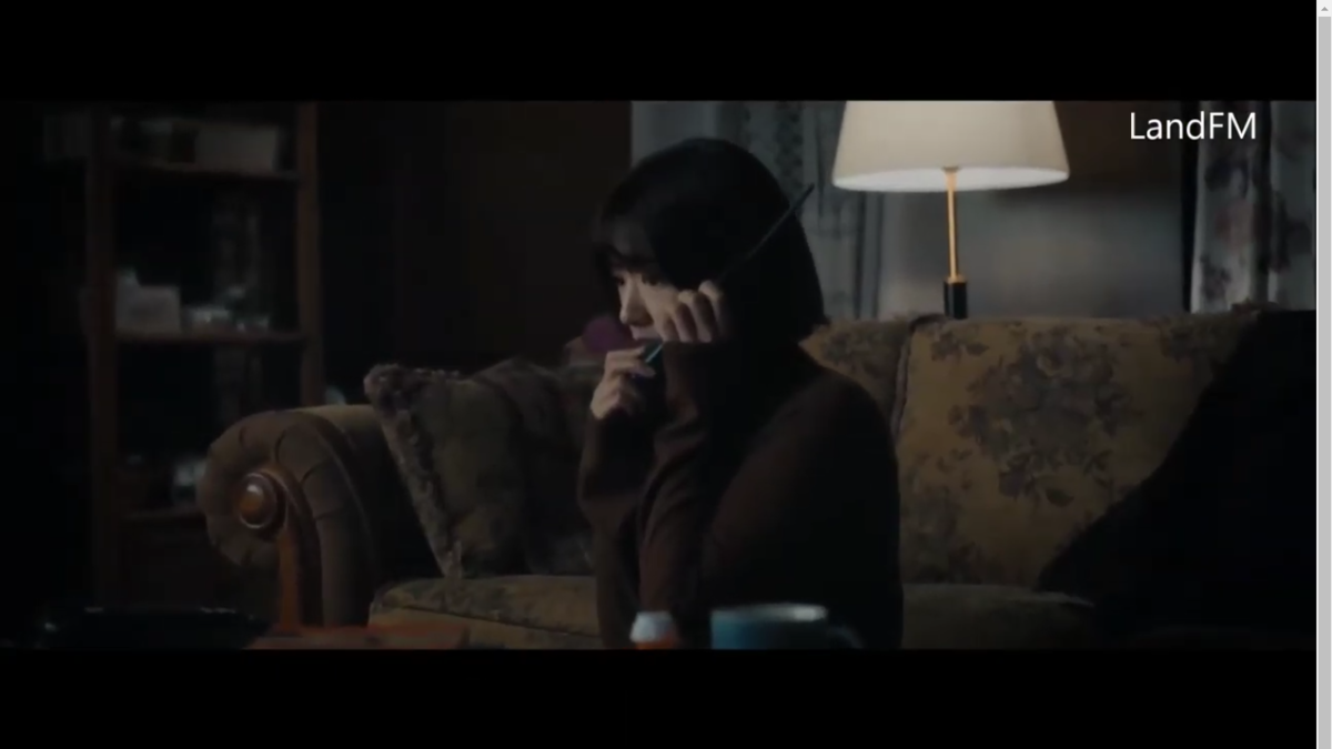 Мечтательная сообразительная Со-ен недавно сумела перебраться из глухой провинции в большой город. Она намеревалась построить успешную карьеру, обзавестись верными друзьями, найти личное женское счастье. Первым ответственным шагом провинциалки стала аренда небольшой квартиры, расположенной в многоэтажном здании. Барышня оплатила приемлемый взнос, перевезла вещи, и устроилась с максимальным комфортом на новом месте. Поиск работы тоже не занял у неё много времени, да и приятельский круг стремительно расширялся. Красавица наслаждалась собственным существованием, не задумываясь о потенциальных невзгодах. А стоило бы поразмышлять о будущем, ведь впереди притаились огромные проблемы!

Совершенно неожиданно девушка столкнулась с необъяснимым явлением: она позвонила в прошлое! Ошибка в наборе номера связала её с Янг-Сук, тоже проживающей в этом жилище, только 20 лет назад! Поскольку нынешняя ситуация произошла в 2019, незримая собеседница проживала в 1999. Как такое могло произойти, никак не укладывалось в девичьей голове, но любопытная современница решила продолжить увлекательное общение