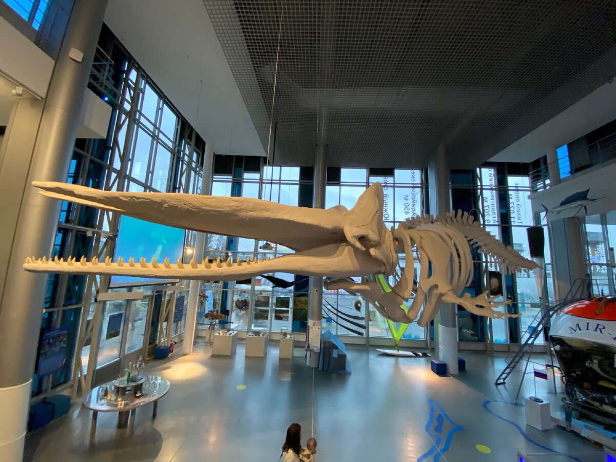 Павильон «Глубина»