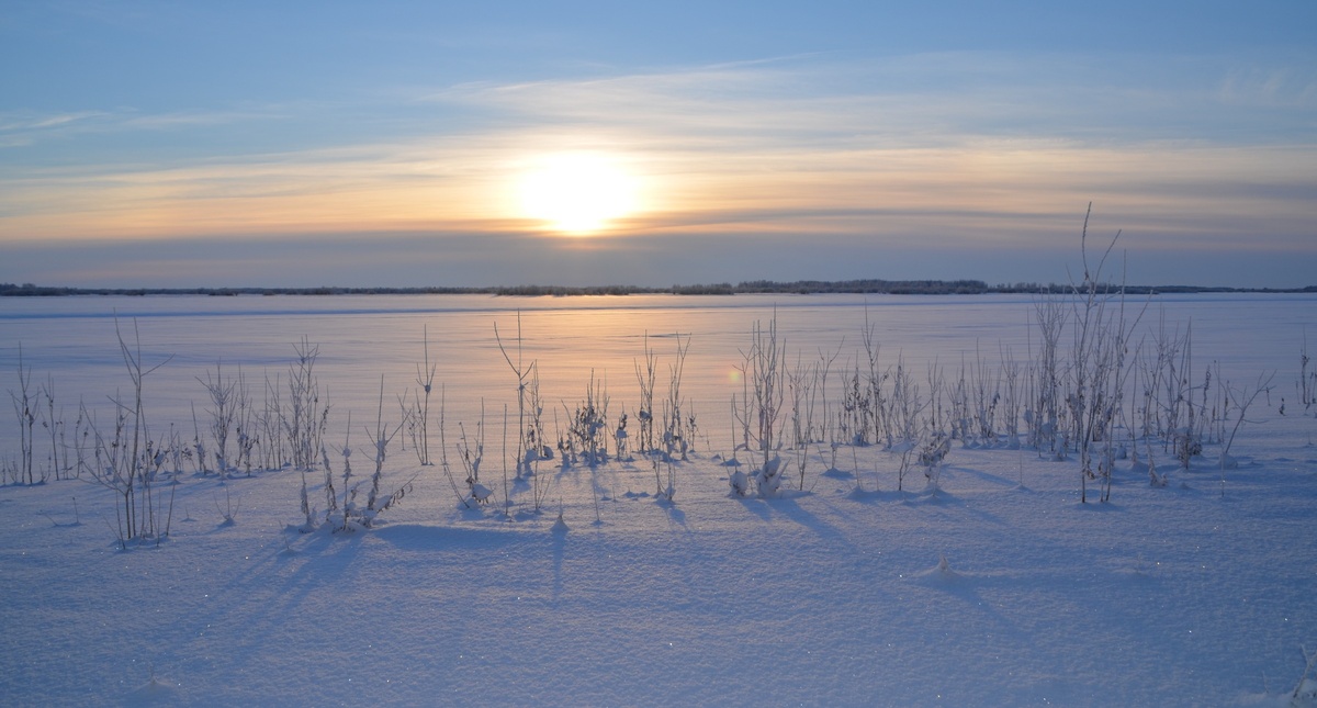 Спит под снегом