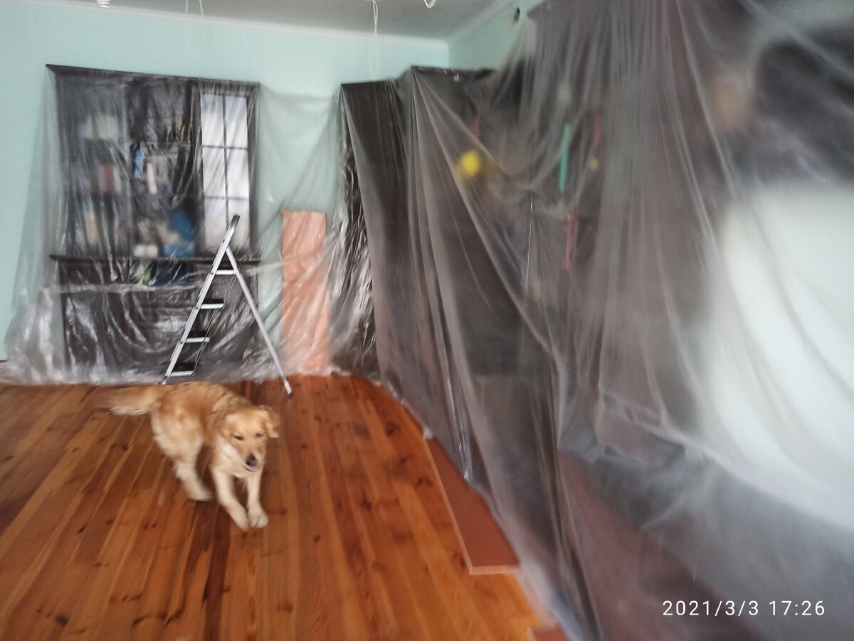 Ремонт затеяли... а могли бы жить спокойно!