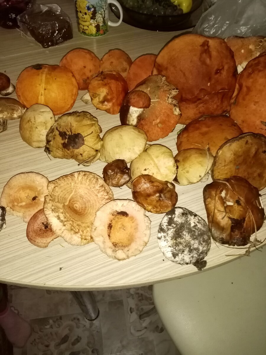 Подосиновики, волнушки, сухие грузди - красота :)