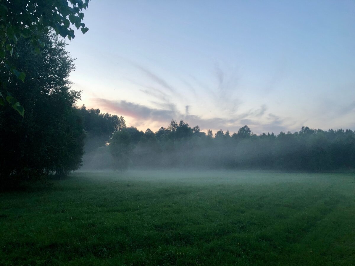 Туман на базе отдыха под Калугой. Фото автора