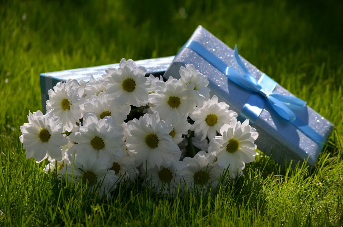 Фото сделано мной 