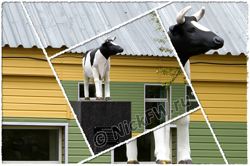 © «Фото.дзен - NickFW.ru»