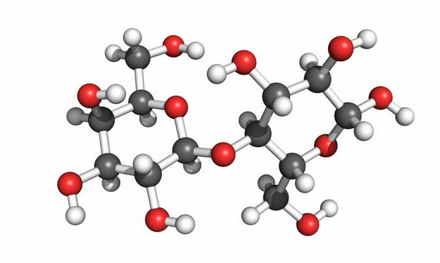 Фасоль очень полезна благодаря химическому составу. Она содержит много белка – до 20 г (в 100 г), поэтому её называют «растительным мясом». Белок усваивается организмом на 80%. Продукт даёт энергию организму за счет содержания углеводов – до 58%.