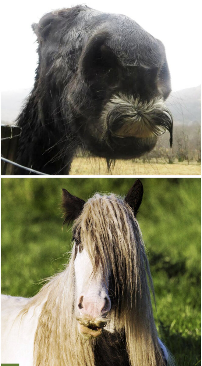 Интернет источник.