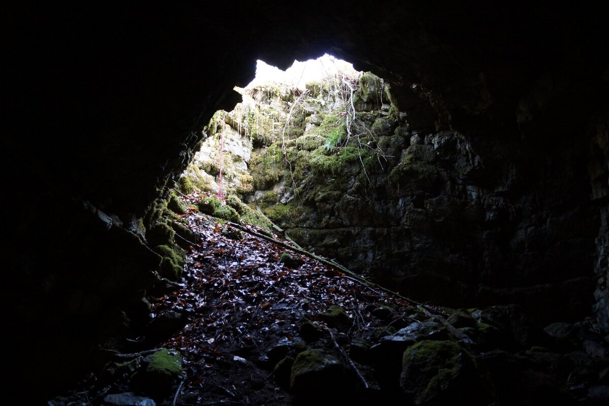 Вид из пещеры