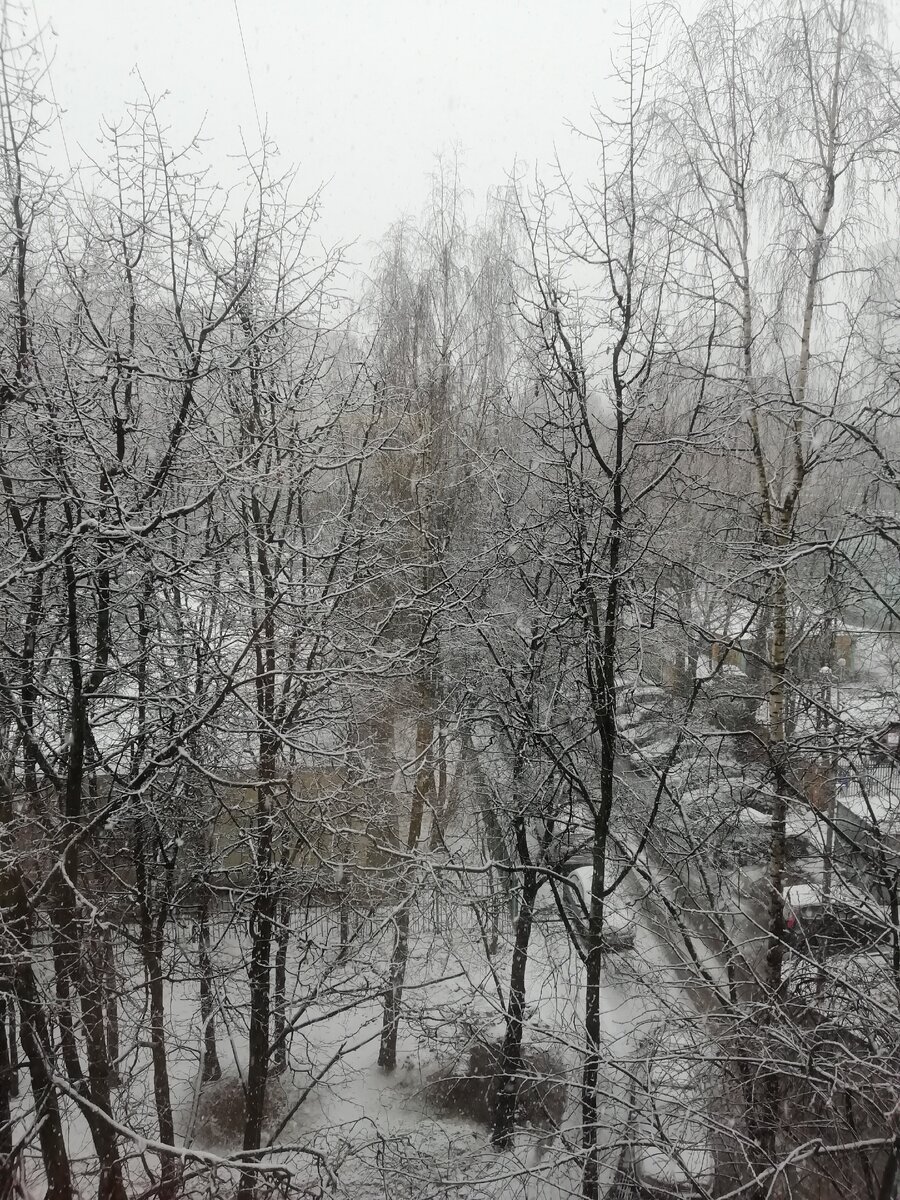 А это Москва, весна не торопится или зима засиделась