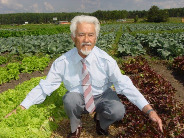 На фото: Основоположник российской вермикультуры д.м.н. профессор Игонин А.М. (1925-2005) демонстрирует на поле в пригороде г.Коврова "зелёный супермаркет", на котором вместо полок устроены грядки с органическими овощами, зеленью, ягодами и корнеплодами. Любой желающий мог приобрести свежую органическую продукцию прямо с грядки. Здесь все выращивалось исключительно на биогумусе. 