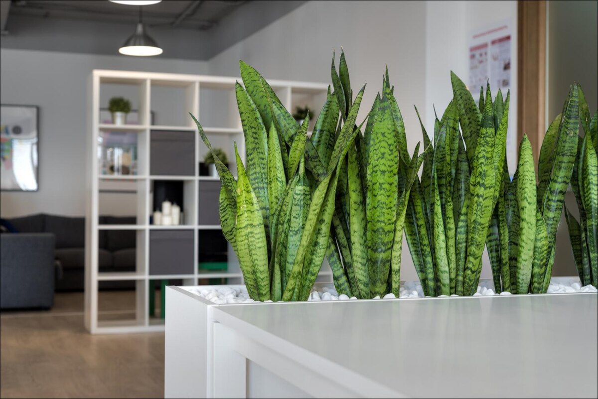 все фото взяты из поисковой системы Яндекс для визуализации материала 