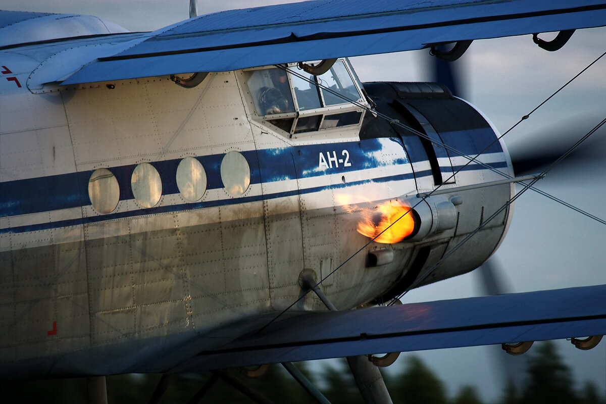 Flight model. АН 2. Кукурузник АН-2 пассажирский. АН 2 Ганшип. АН 12 кукурузник.