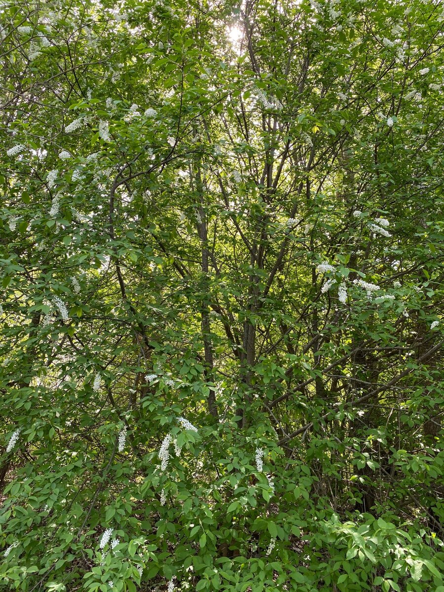 Попал в заброшенную лесную избушку, из которой забрал отличные ...