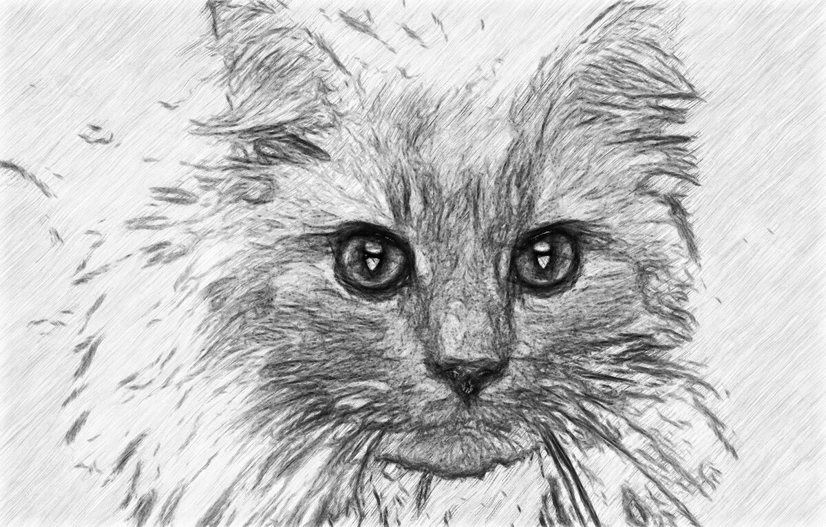 Котов тоже не судят. 