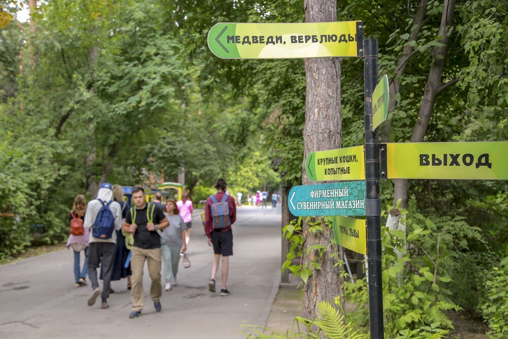 Фото: Павел Комаров, nsknews.info