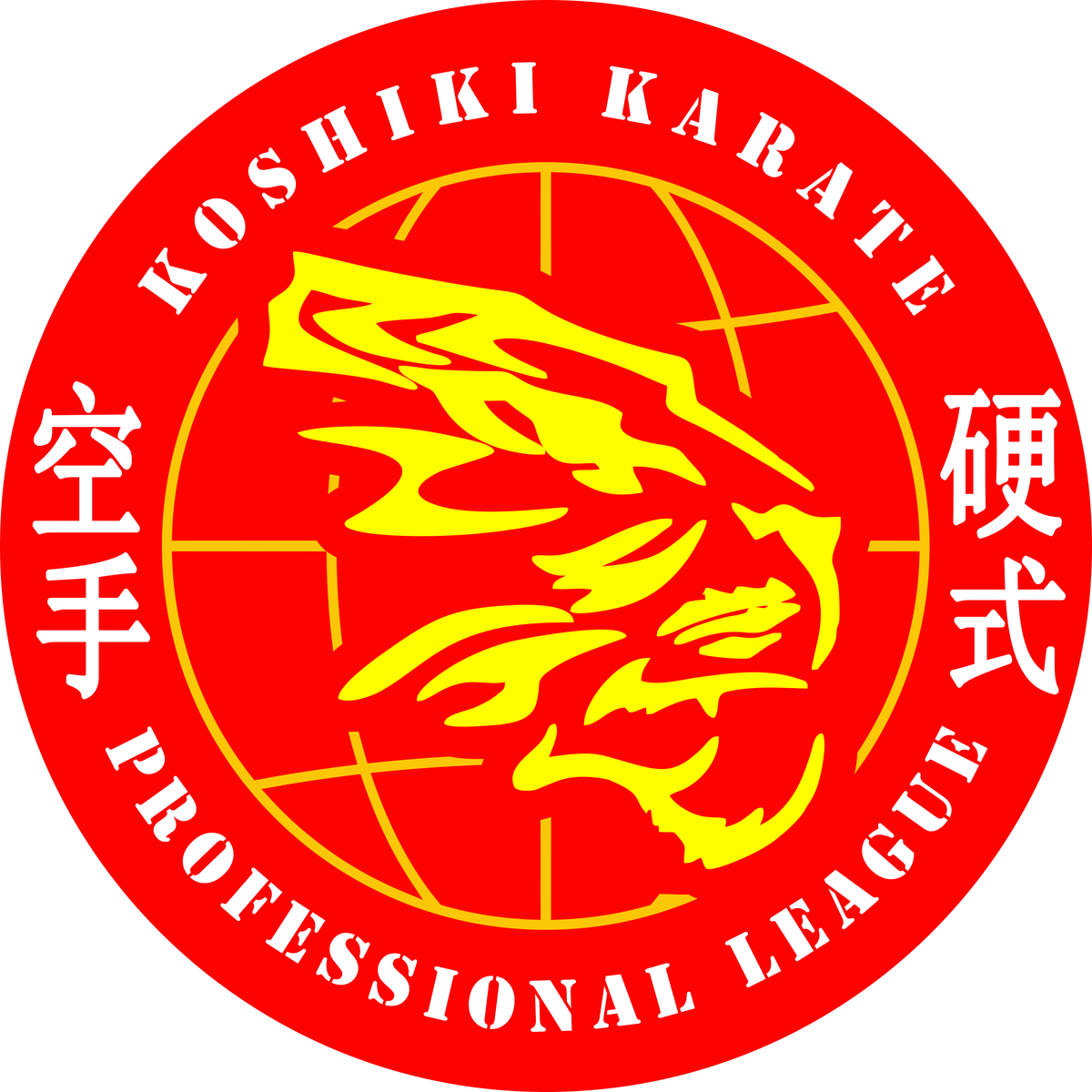 Профессиональная Лига Косики Каратэ#спорт #каратэ #боевые искусства #косики каратэ #косики дзен #косики #shogun cup #профессиональная лига косики каратэ #каратэ вне стилей 