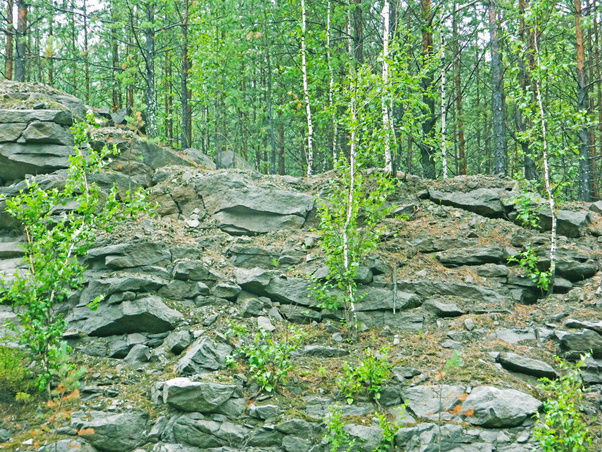 фото автора канала 