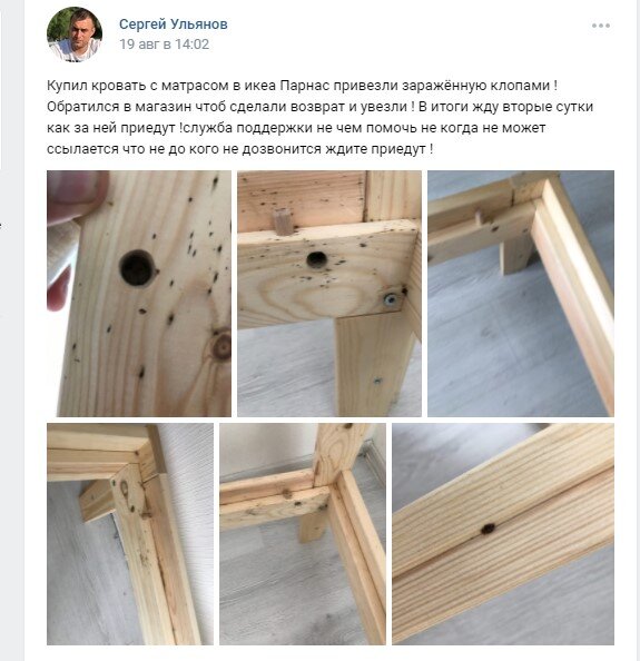 У соседей клопы, что делать?