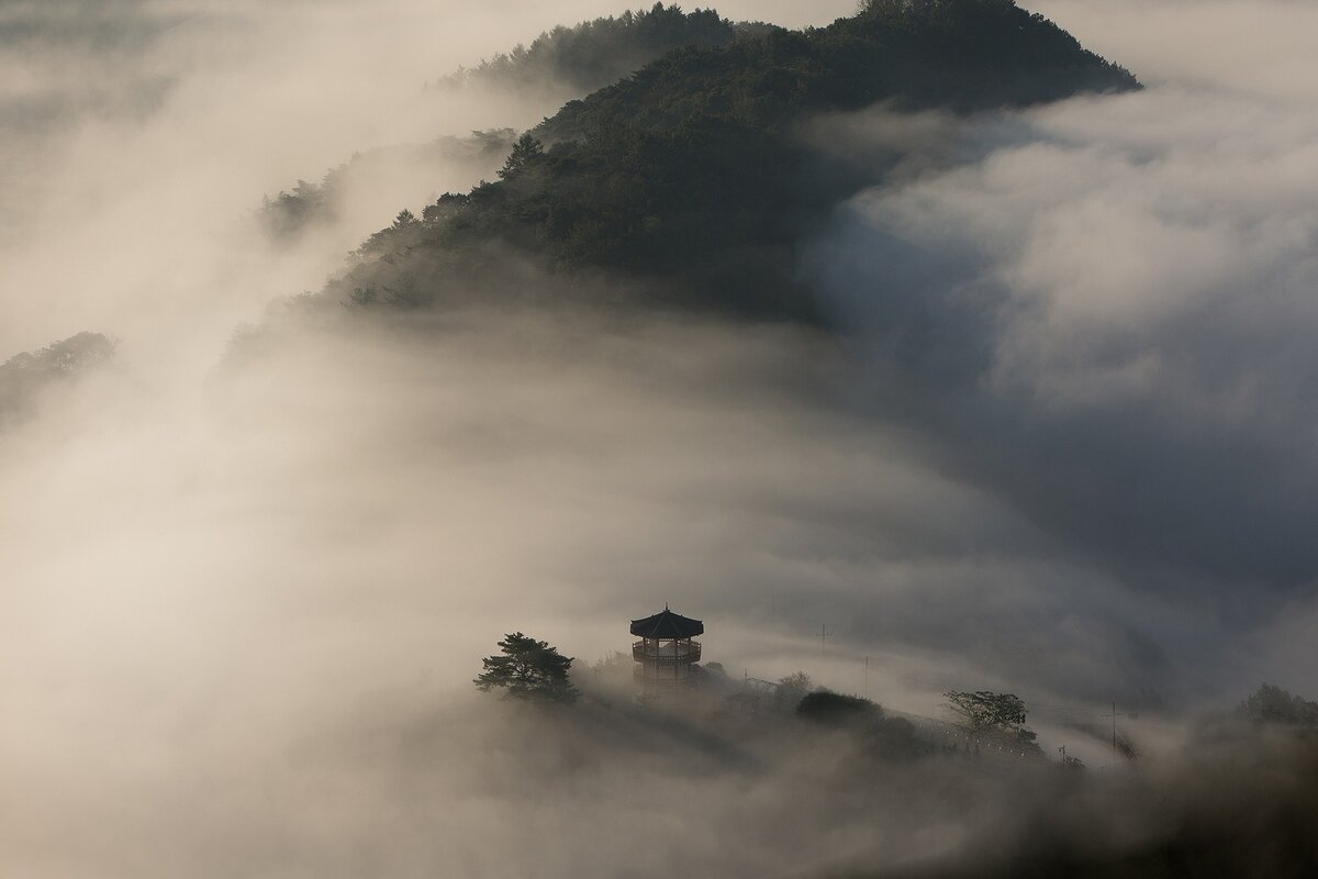 фото:pixabay.com