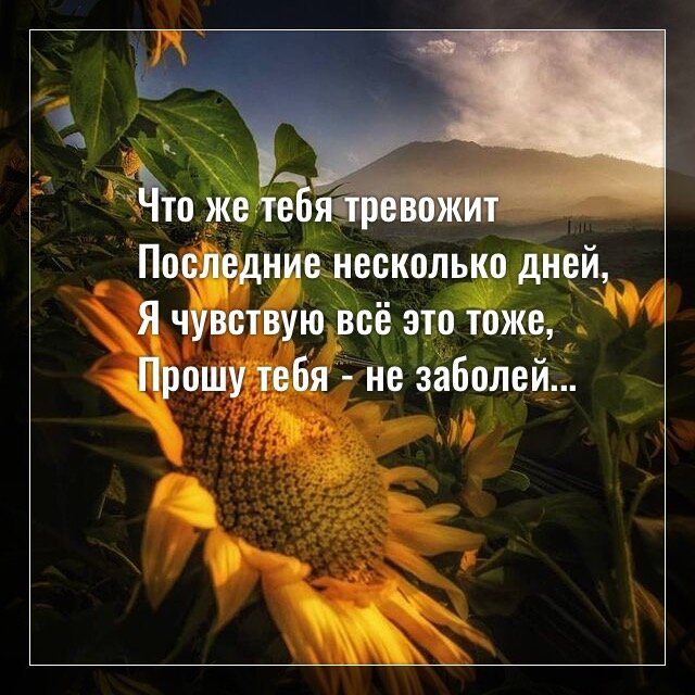 Фото с просторов интернета