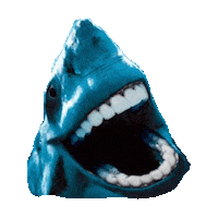 -5