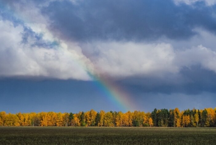 Хочется ещё немного полюбоваться золотой осенью-красавицей. Фото из открытых источников. 