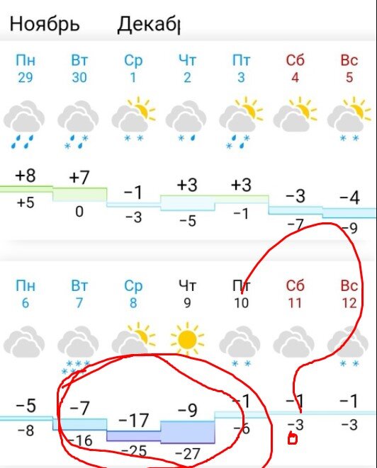 Погода в Брянской обл. г.Клинцы Декабрь 2021 г Гисметео