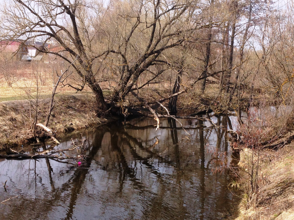 Река Гуслица. Фото автора.