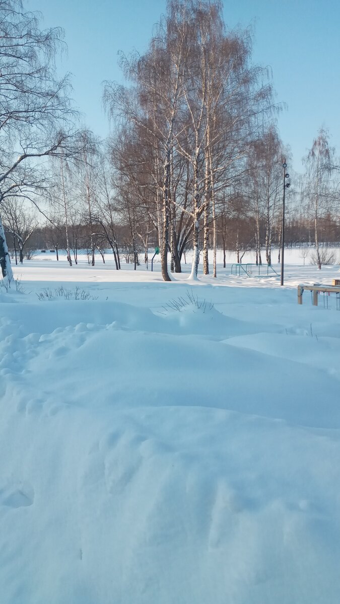 Парк с замерзшим озером недалеко от моего дома. Под снегом не видно границ водной поверхности.